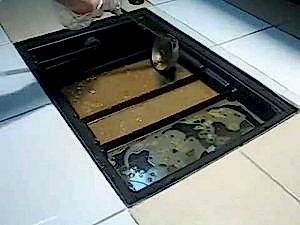 Yağ tutucu çekme ve temizleme