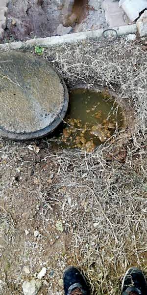 Muratpaşa Logar Temizleme