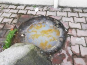 Konyaaltı Logar Temizleme