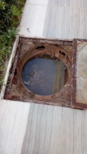 Döşemealtı Logar Temizleme