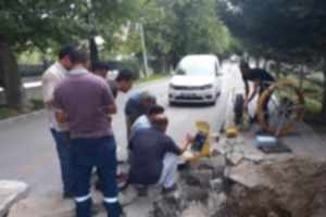 Kanal Görüntüleme Hizmeti